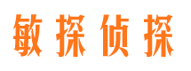 富民市私家侦探